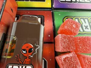 Fryd Disposable 3 Gram (WITH GUMMIES)